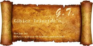 Gibicz Trisztán névjegykártya
